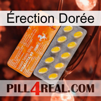 Érection Dorée new05